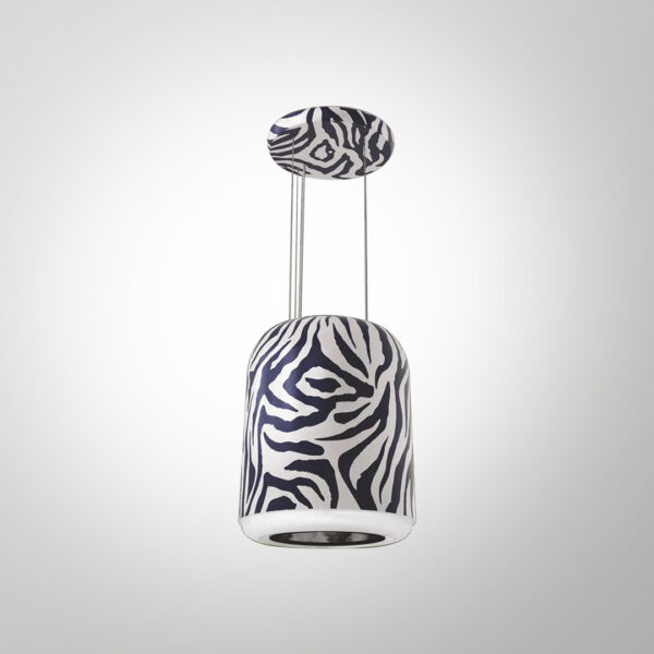 ZEBRA 41 (IS)